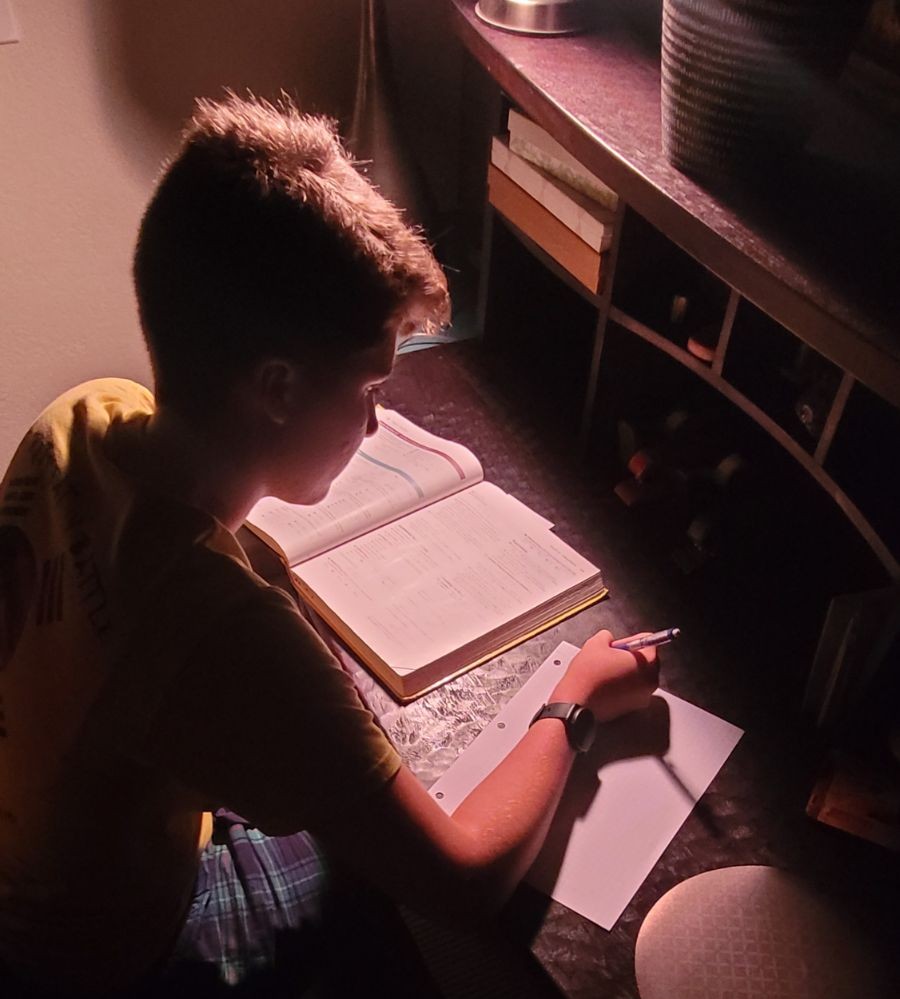 Student studying